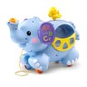 Pull & Discover Activity Elephant™ - Item 3 of 8